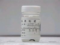 疊波蓋刺魚藏品圖，第2張